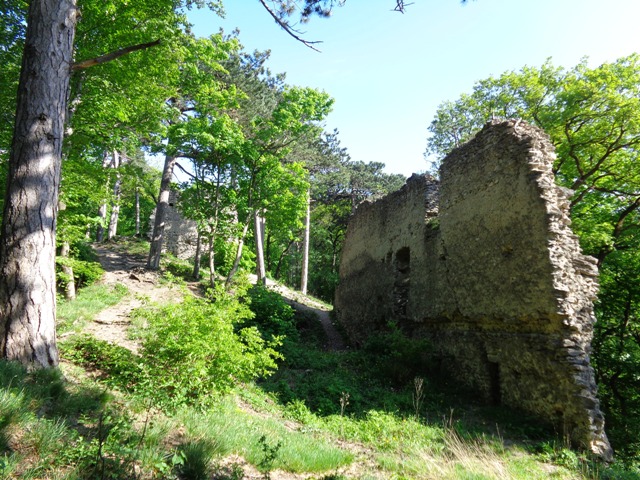 Ruine Kammerstein